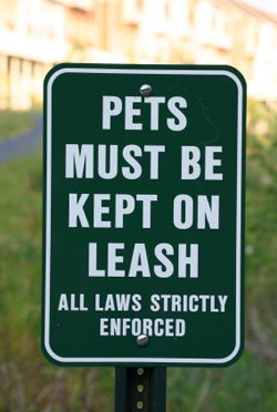 Pets must be kept on leash All laws strictly enforced