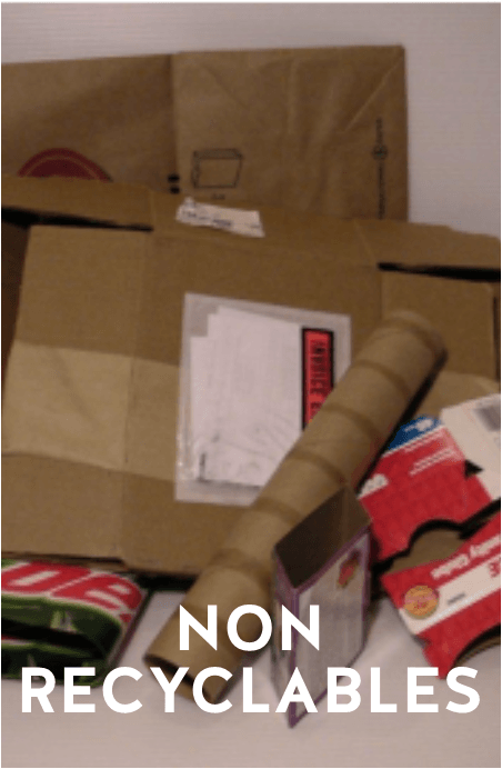 Non Recyclables