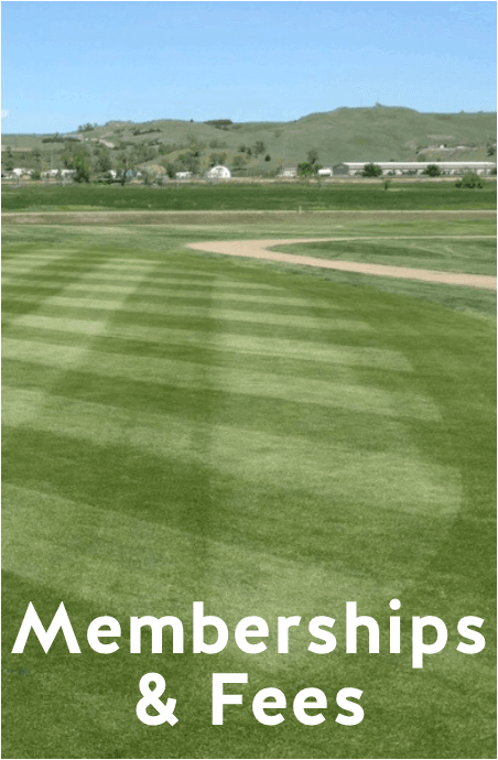 Membership and Fees