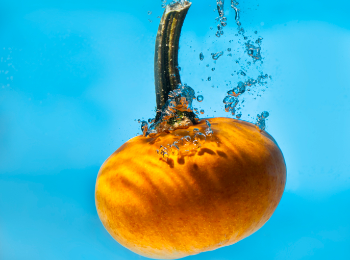 UNDERWATER PUMPKIN PATCH