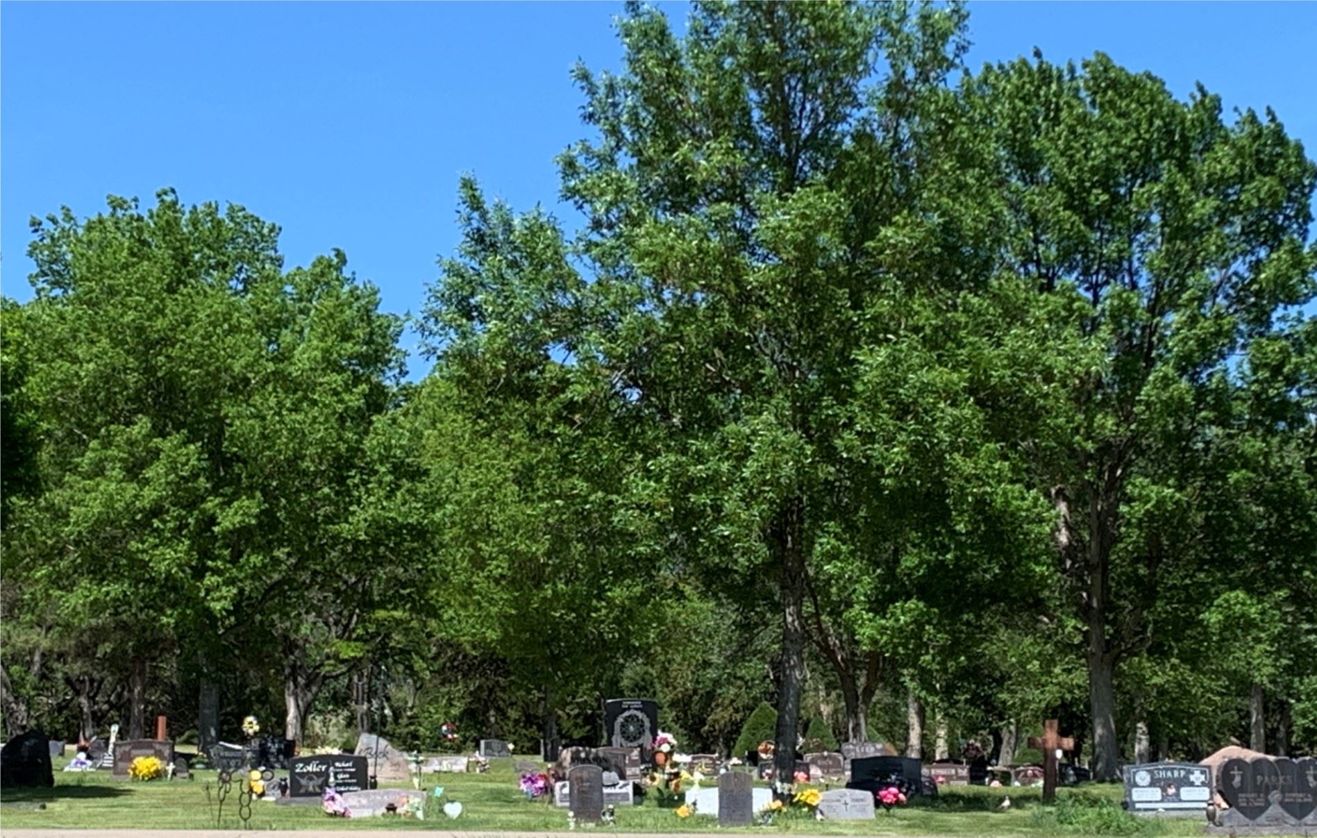 5.28.21_cemetery prepped for memorial day image