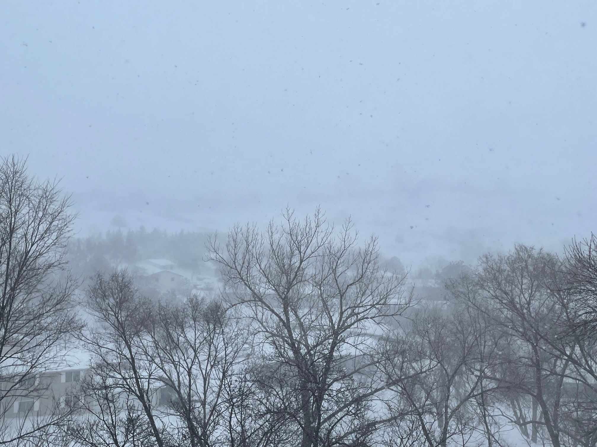 BACK OF FLAG MOUNTAIN DURING 3.31.23 STORM
