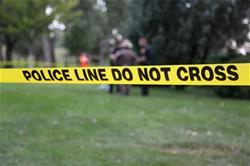 Criminal Investigation